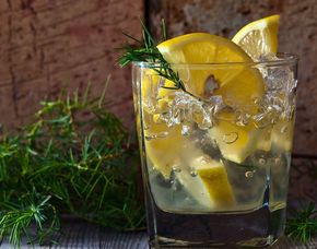 Gin-Tasting - High End - Stuttgart von 9 Sorten Gin & Tonic Water