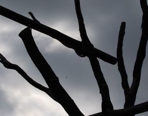 Fotokurs Münster - Im Fotoworkshop richtig fotografieren lernen Fotokurs Münster - Im Fotoworkshop richtig fotografieren lernen