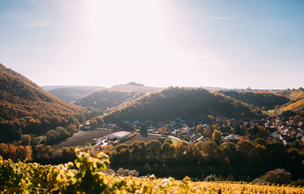 weinreise-niederhausen-nahe-guthermannsberg