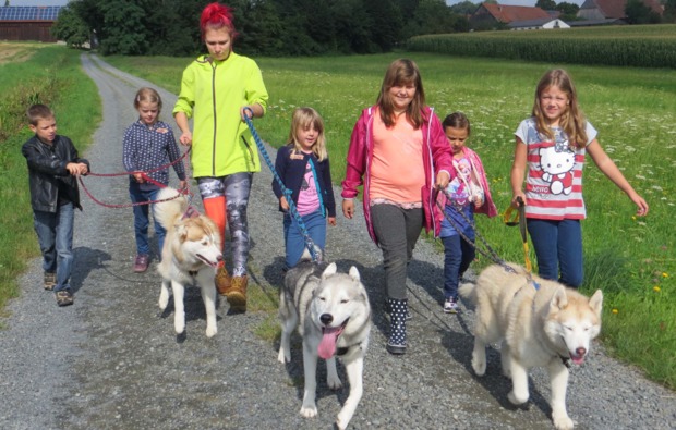 schlittenhunde-workshop-kulz-wandern