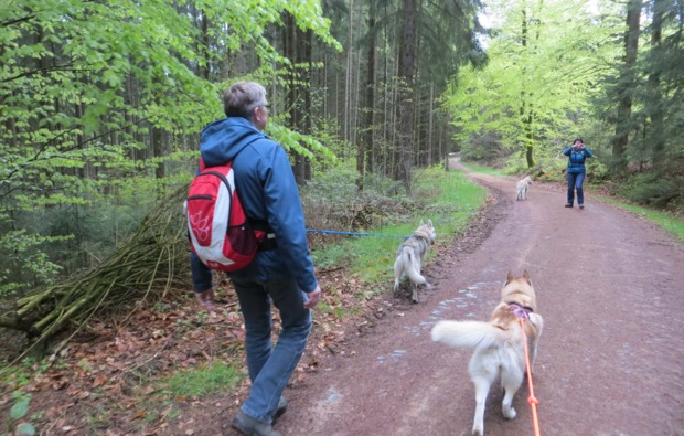 schlittenhunde-workshop-kulz-wanderung