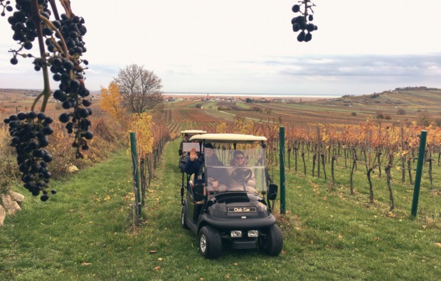 golf-car-genusstour-durch-weingaerten-1-person-bg1