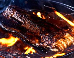 grillkurs-nuernberg-lachs