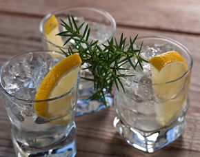Gin Tasting Wien Whisky Tasting – Schenke die edle Welt der Brände