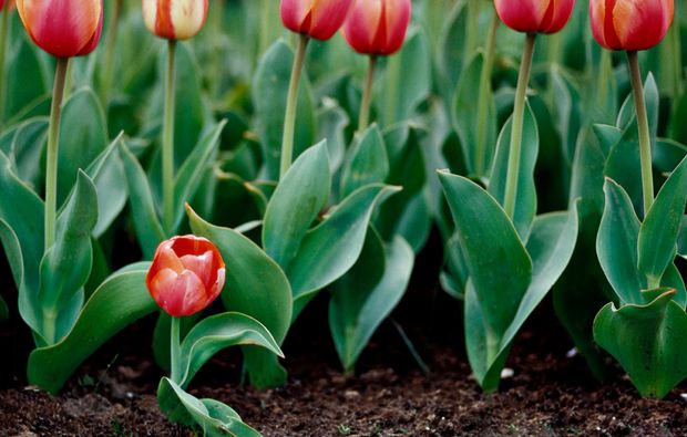 Fotokurs Düsseldorf - Im Fotoworkshop richtig fotografieren lernen Fotokurs Düsseldorf - Im Fotoworkshop richtig fotografieren lernen