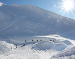 bernachtung im Romantik-Iglu