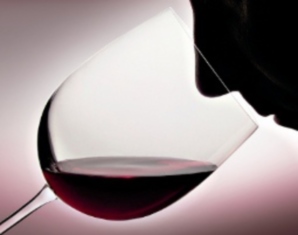Weinseminar Zürich Eine Weinprobe ist ein wahres Fest für Weinliebhaber Weinseminar Zürich Eine Weinprobe ist ein wahres Fest für Weinliebhaber