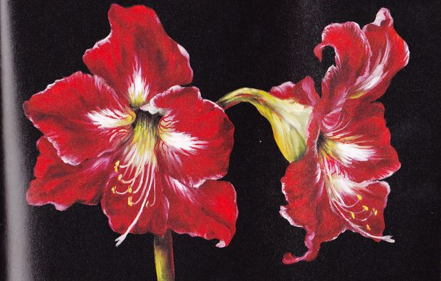 gary-jenkins-malkurs-domsuehl-kunst