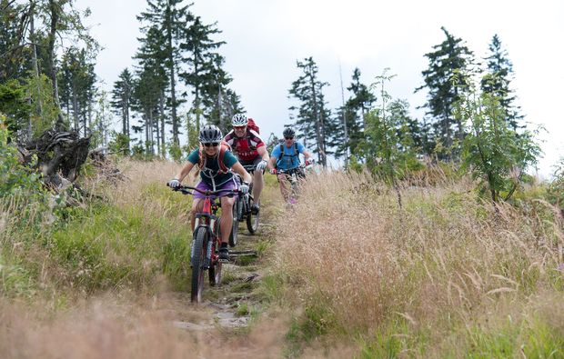 mountainbike-kurs-viechtach-sport