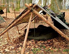 Survival Training