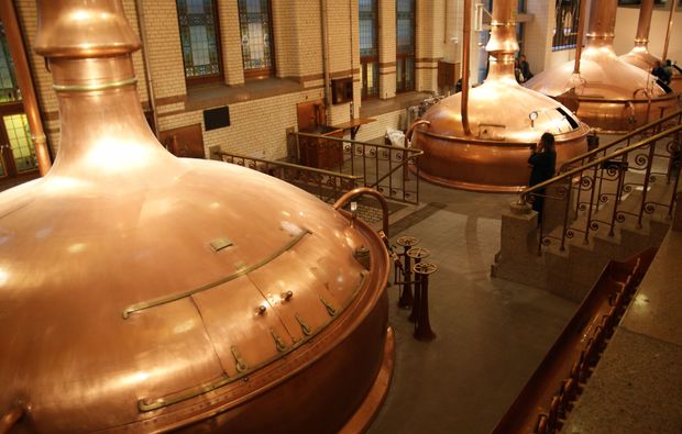 braukurs-rickling-bier-brauen