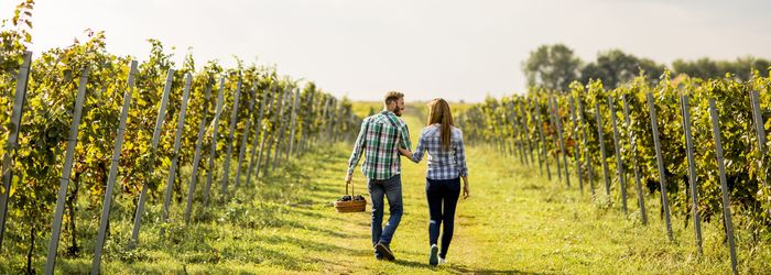 Weinreisen