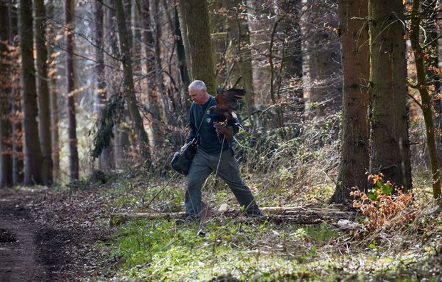 falkner-fuer-einen-tag