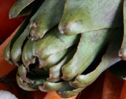 fusionskueche_11217857474