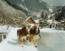 Reitkurse Reiturlaub Pferdemessen und Reitturniere