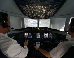 d-flight-simulator