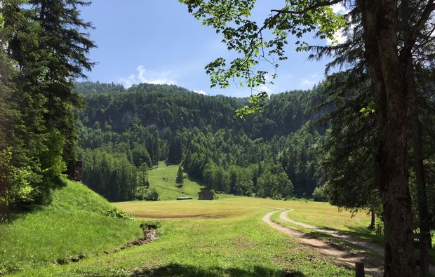 kraeuterwanderung-reit-im-winkl-wandern