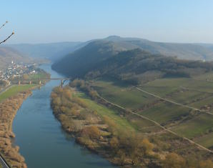 Weinbergwanderung