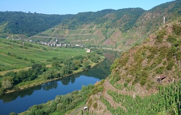 weinbergwanderung-ediger-eller-berg