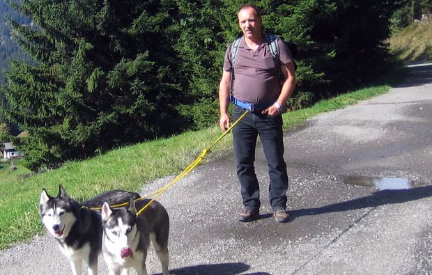 husky-trekking-moedingen-natur