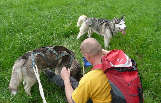 husky-trekking-moedingen-outdoor