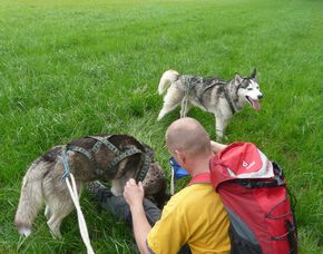 Husky-Trekking  Mödingen Ca. 6 Stunden