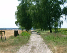 bild_6
