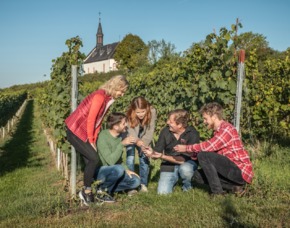 Weinbergwanderung Schriesheim Eine Weinprobe ist ein wahres Fest für Weinliebhaber