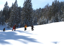 schneeshuh_8