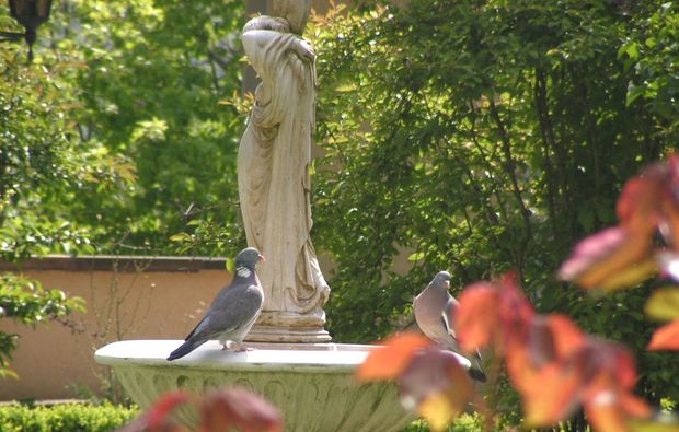 candle-light-dinner-fuer-zwei-schmoelln-garten