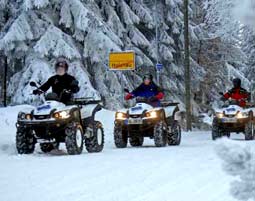 Quad Tour