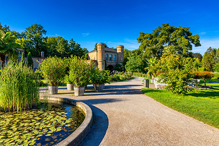 Botanischer Garten im Schlossgarten Karlsruhe