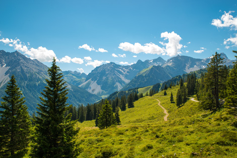 Brandnertal Walliserhof Panorama
