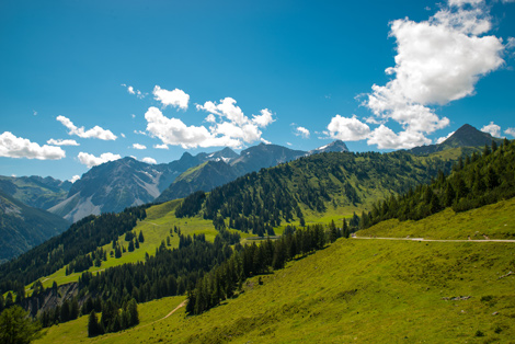 Brandnertal Walliserhof Panorama