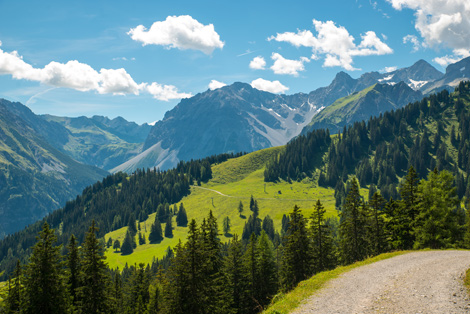 Brandnertal Walliserhof Panorama