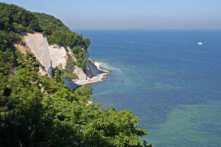 Kreidefelsen auf Rügen