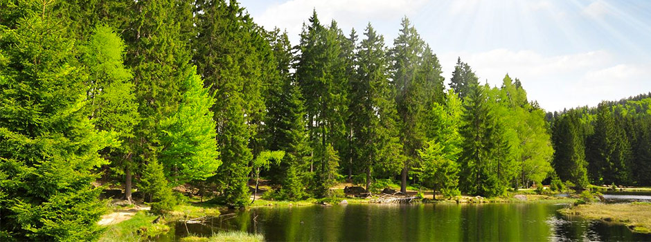 TOP Wellnesshotels im Bayerischen Wald