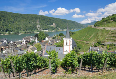 Rüdesheim im Rheingau